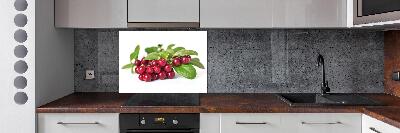 Spatscherm keuken Veenbes