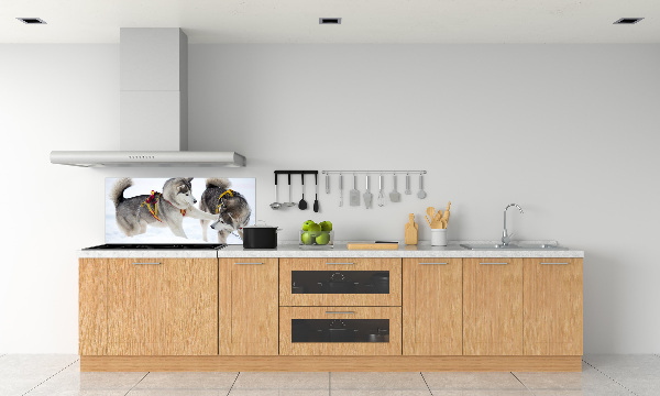 Glazen achterwand keuken Huskies in de winter