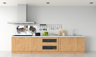 Glazen achterwand keuken Huskies in de winter