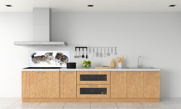 Glazen achterwand keuken Huskies in de winter