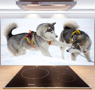 Glazen achterwand keuken Huskies in de winter