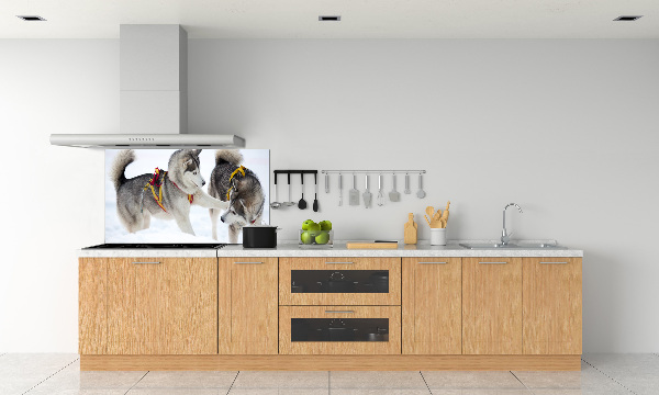 Glazen achterwand keuken Huskies in de winter