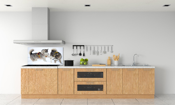 Glazen achterwand keuken Huskies in de winter
