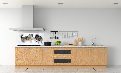 Glazen achterwand keuken Huskies in de winter