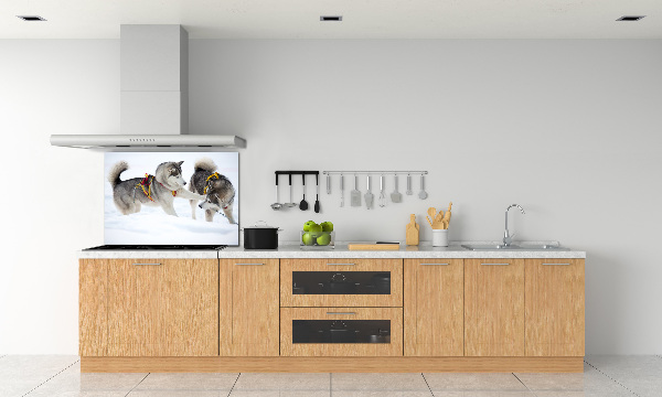 Glazen achterwand keuken Huskies in de winter