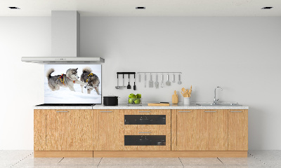 Glazen achterwand keuken Huskies in de winter