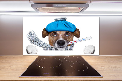 Achterwand keuken Zieke hond