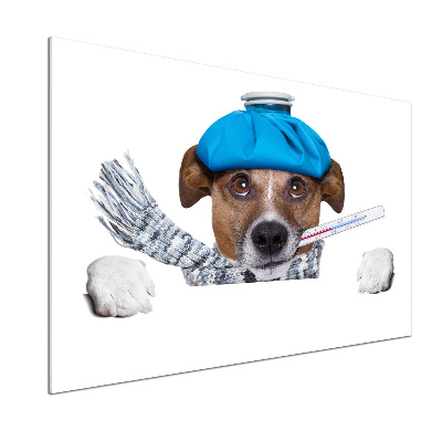 Panel dekor szkło Chory pies