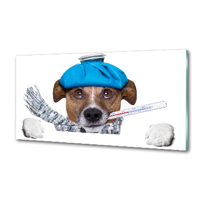 Achterwand keuken Zieke hond