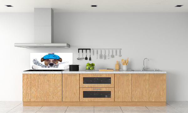 Achterwand keuken Zieke hond