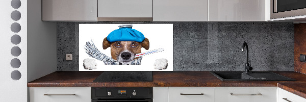 Achterwand keuken Zieke hond