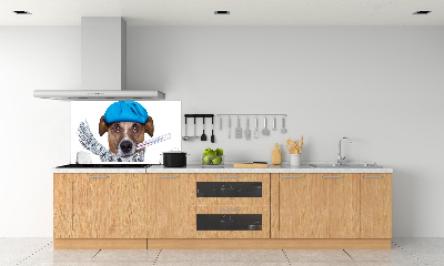 Achterwand keuken Zieke hond