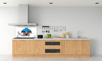 Achterwand keuken Zieke hond