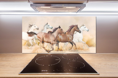 Spatscherm keuken Paarden in galop