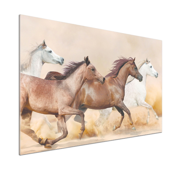 Spatscherm keuken Paarden in galop