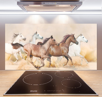 Spatscherm keuken Paarden in galop