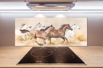 Spatscherm keuken Paarden in galop
