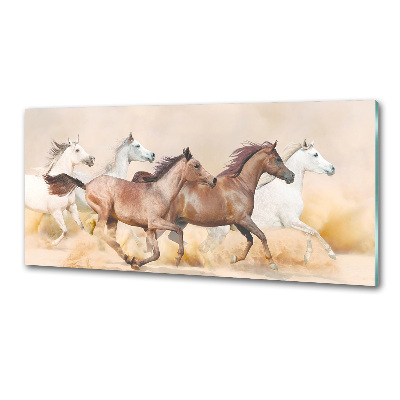 Spatscherm keuken Paarden in galop