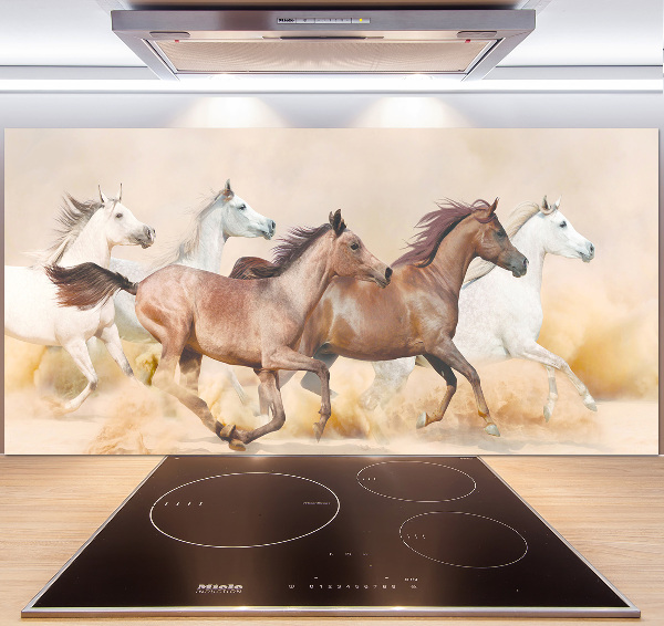 Spatscherm keuken Paarden in galop