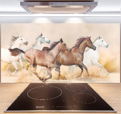 Spatscherm keuken Paarden in galop