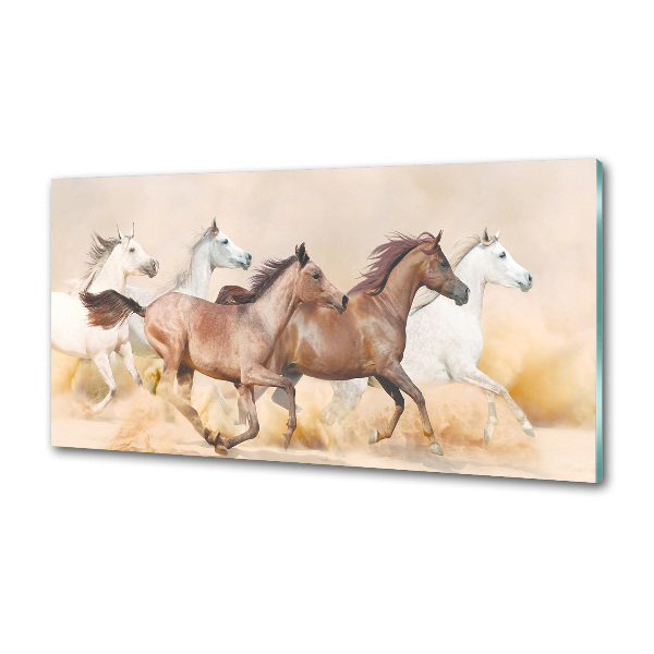 Spatscherm keuken Paarden in galop