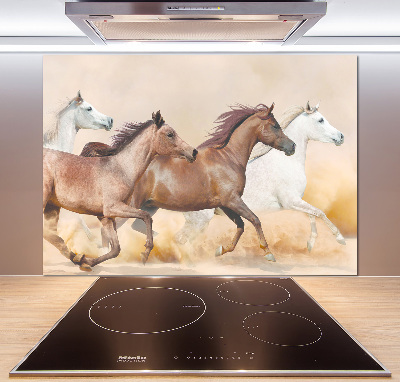 Spatscherm keuken Paarden in galop