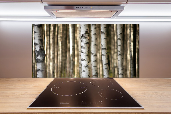 Glazen achterwand keuken Berken
