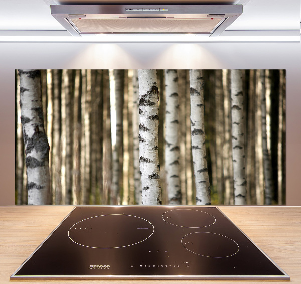 Glazen achterwand keuken Berken