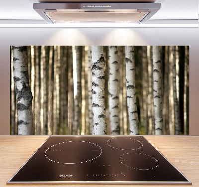 Glazen achterwand keuken Berken