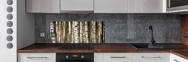 Glazen achterwand keuken Berken