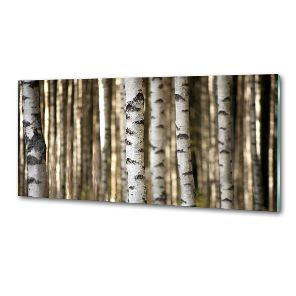 Glazen achterwand keuken Berken