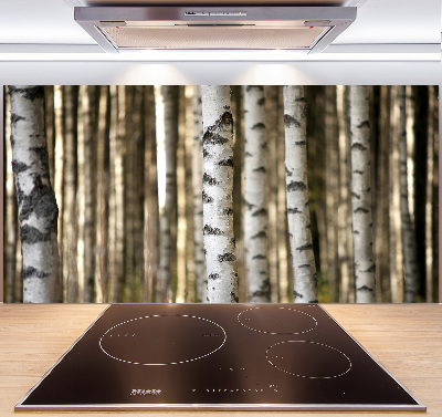Glazen achterwand keuken Berken