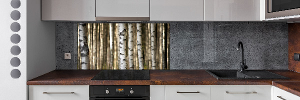 Glazen achterwand keuken Berken