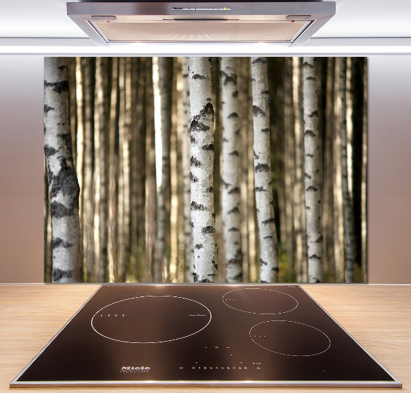 Glazen achterwand keuken Berken