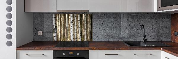 Glazen achterwand keuken Berken