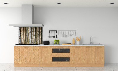 Glazen achterwand keuken Berken