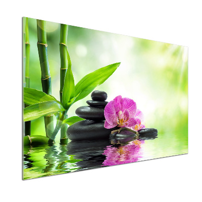 Spatscherm keuken Orchidee