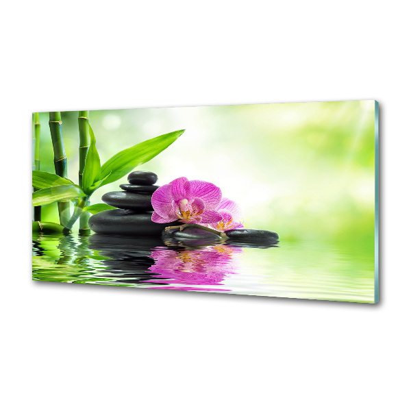 Spatscherm keuken Orchidee