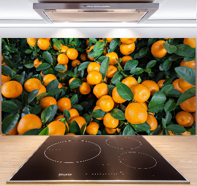 Spatplaat keuken Mandarijnen