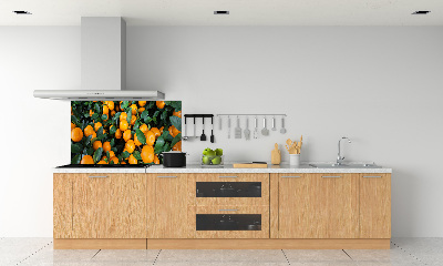 Panel dekor szkło Mandarynki