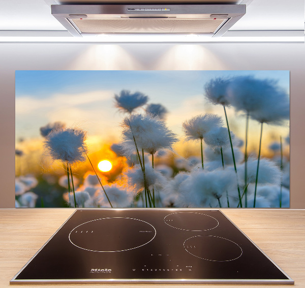 Spatplaat keuken Wolgras