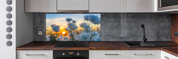 Spatplaat keuken Wolgras