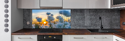 Spatplaat keuken Wolgras