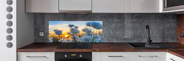 Spatplaat keuken Wolgras