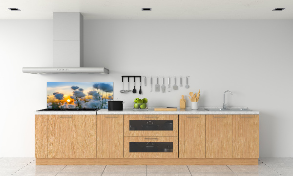 Spatplaat keuken Wolgras