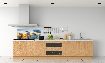 Spatplaat keuken Wolgras