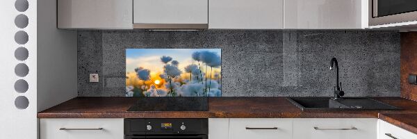 Spatplaat keuken Wolgras