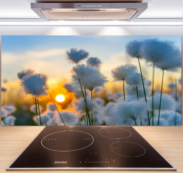Spatplaat keuken Wolgras