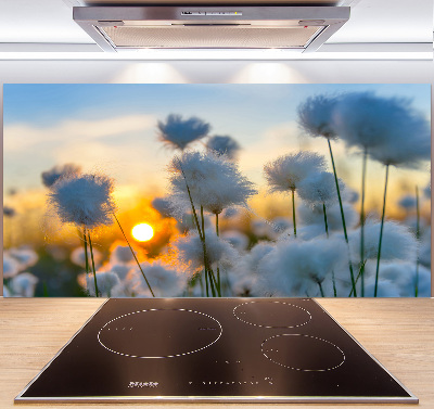 Spatplaat keuken Wolgras