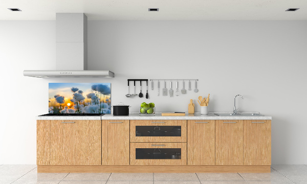 Spatplaat keuken Wolgras